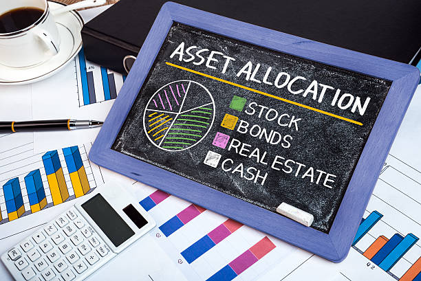 https://midastouchinvestments.in/wp-content/uploads/2021/03/14-Asset-Allocation.jpg